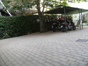 motogp